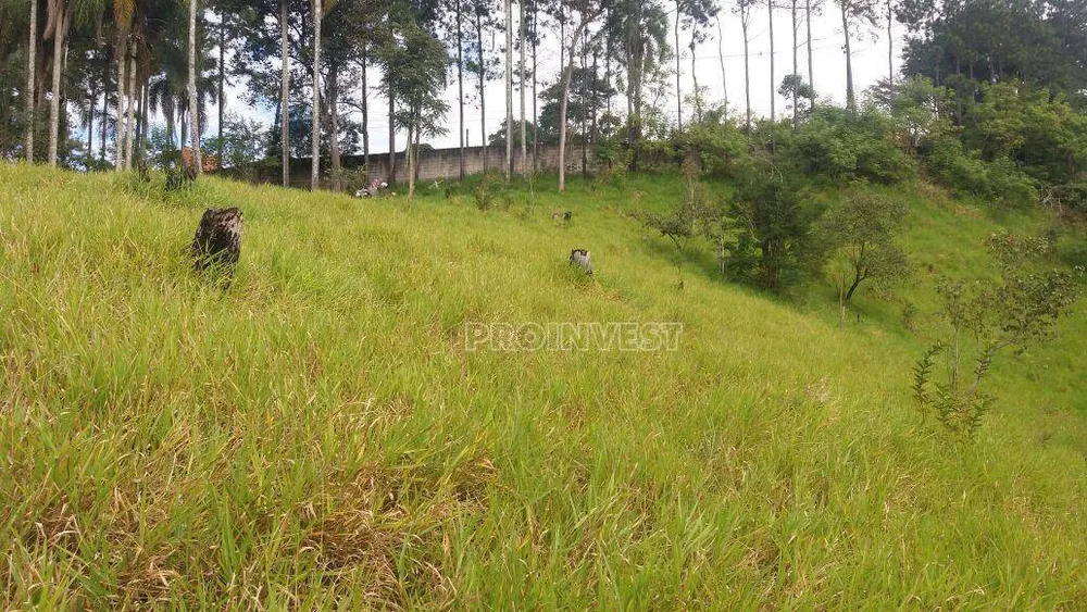Terreno, 2 hectares - Foto 8