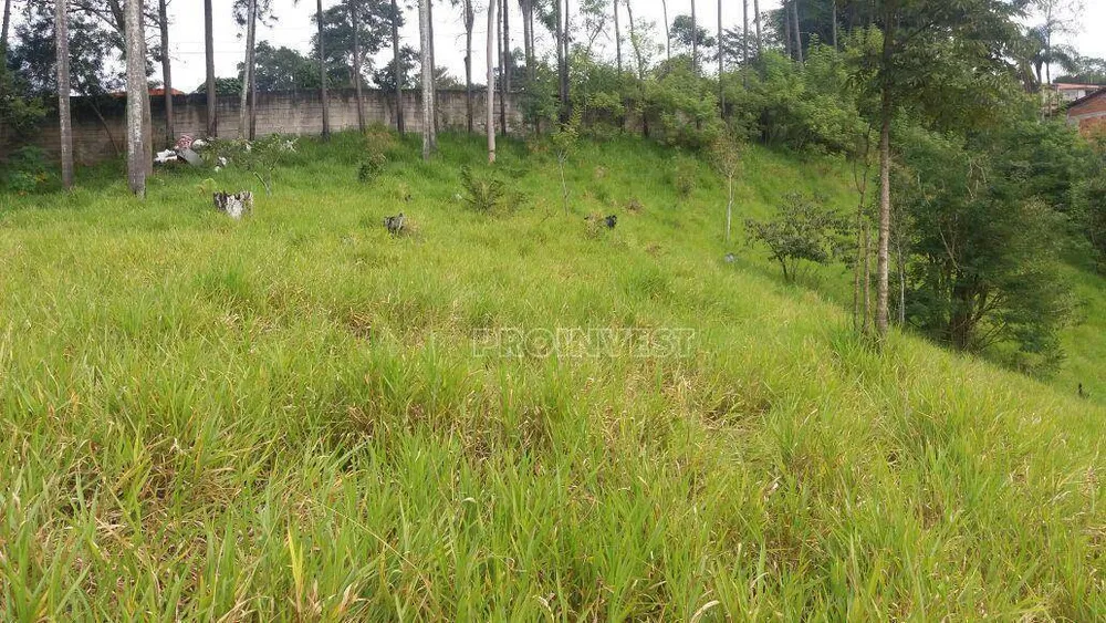 Terreno, 2 hectares - Foto 6