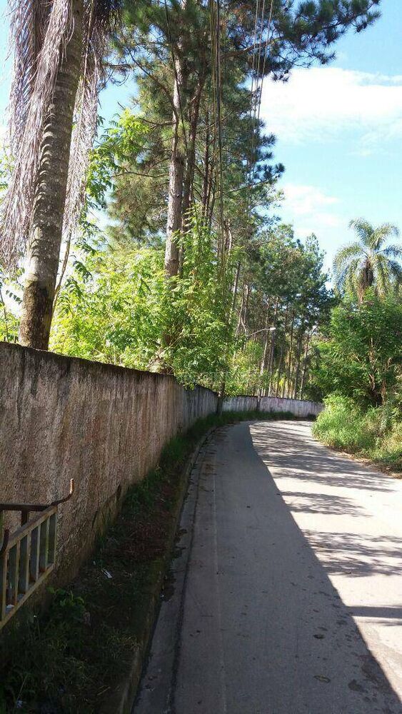 Terreno, 2 hectares - Foto 4