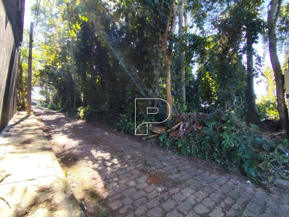 Terreno, 3188 m² - Foto 6