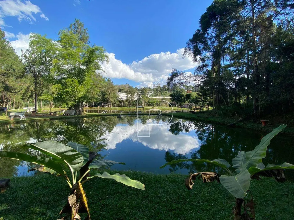 Terreno, 8 hectares - Foto 11