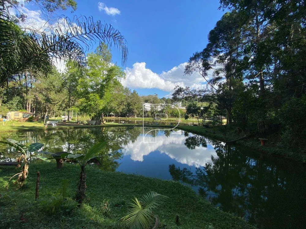 Terreno, 8 hectares - Foto 10