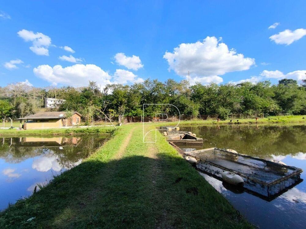 Terreno, 8 hectares - Foto 4