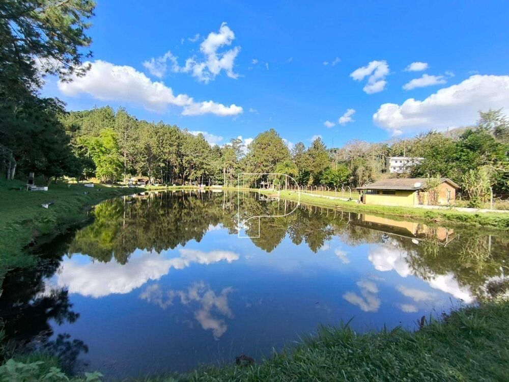 Terreno, 8 hectares - Foto 5