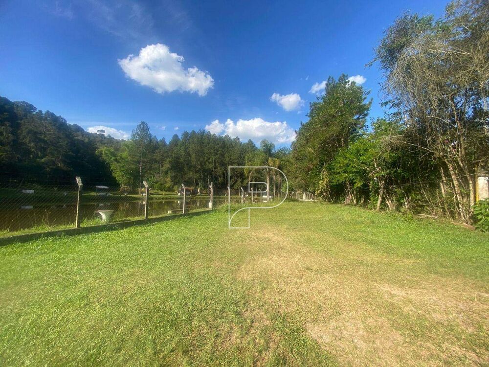 Terreno, 8 hectares - Foto 9