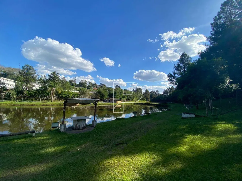 Terreno, 8 hectares - Foto 15