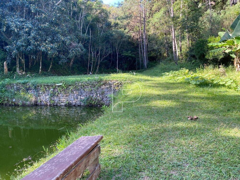 Terreno, 8 hectares - Foto 8