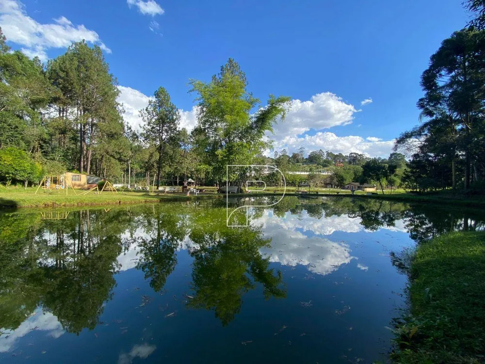 Terreno, 8 hectares - Foto 12