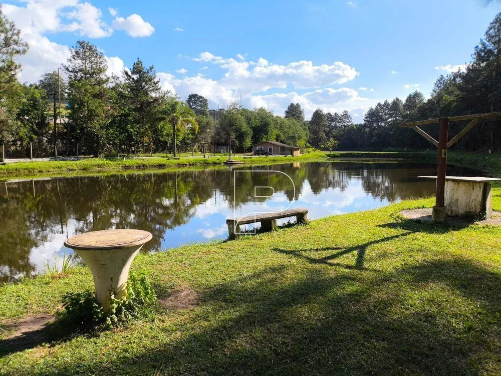Terreno, 8 hectares - Foto 3