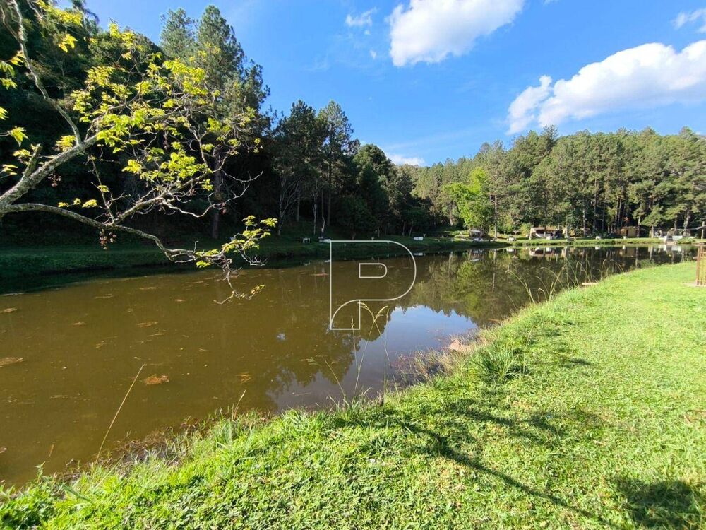 Terreno, 8 hectares - Foto 6