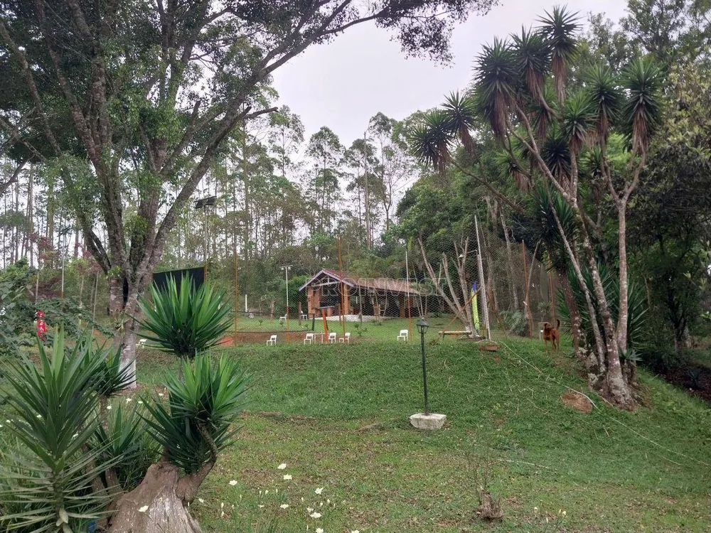 Chácara, 4 quartos, 6980 m² - Foto 14