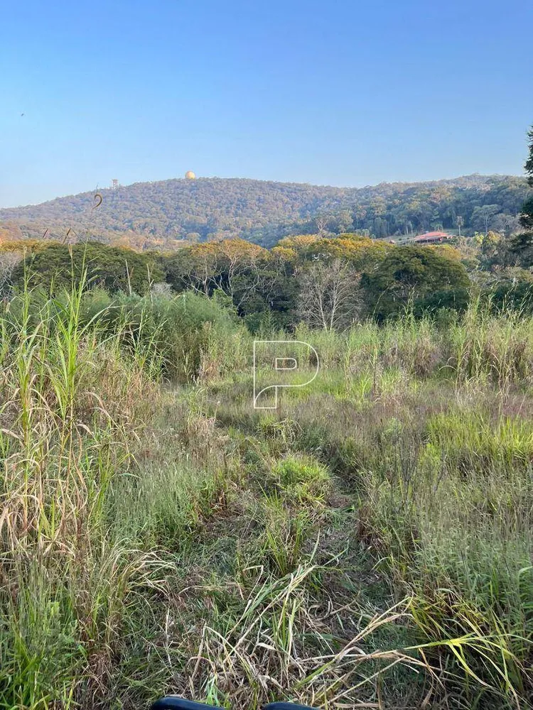 Terreno, 4 hectares - Foto 3