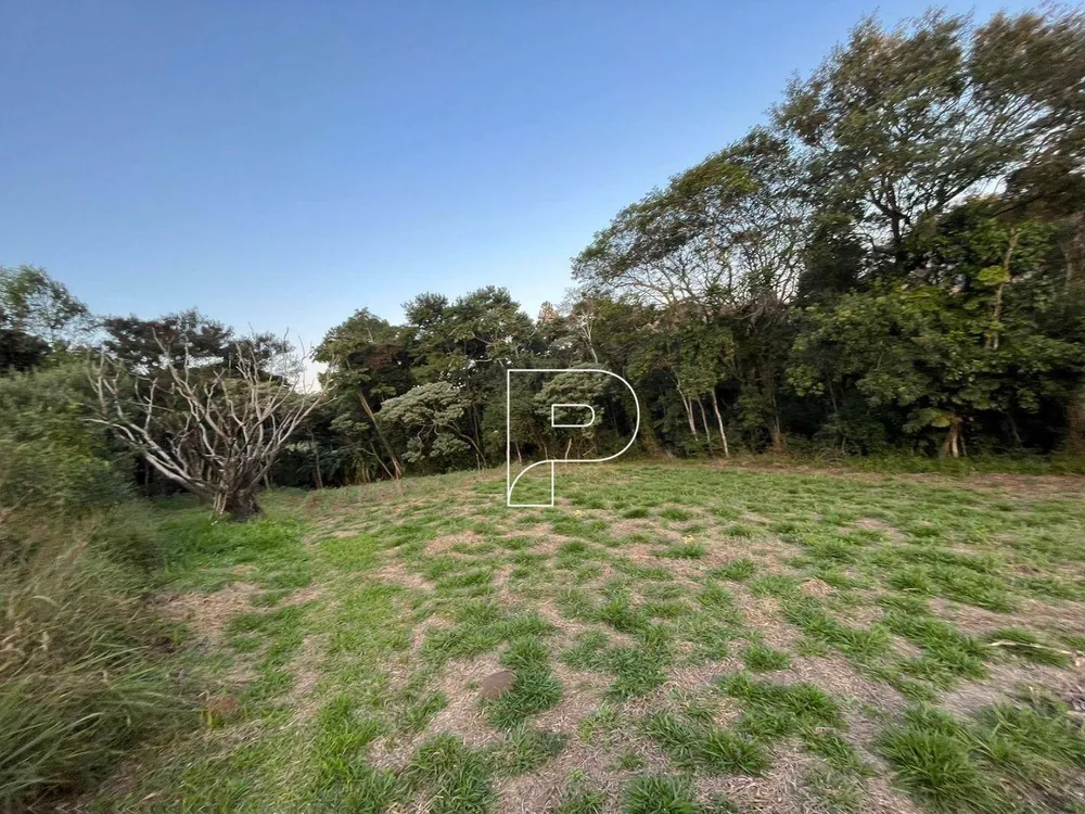 Terreno, 4 hectares - Foto 1