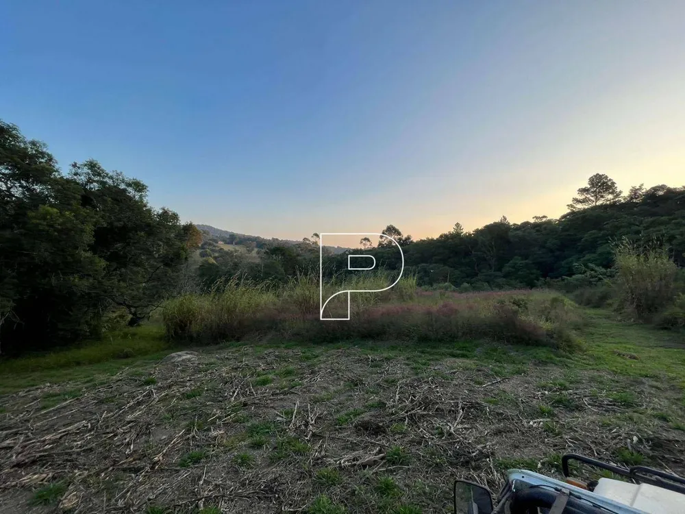 Terreno, 4 hectares - Foto 6