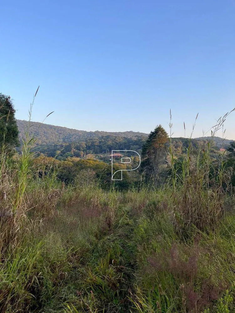 Terreno, 4 hectares - Foto 7