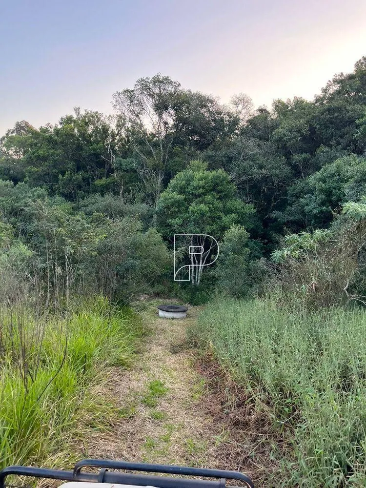 Terreno, 4 hectares - Foto 8