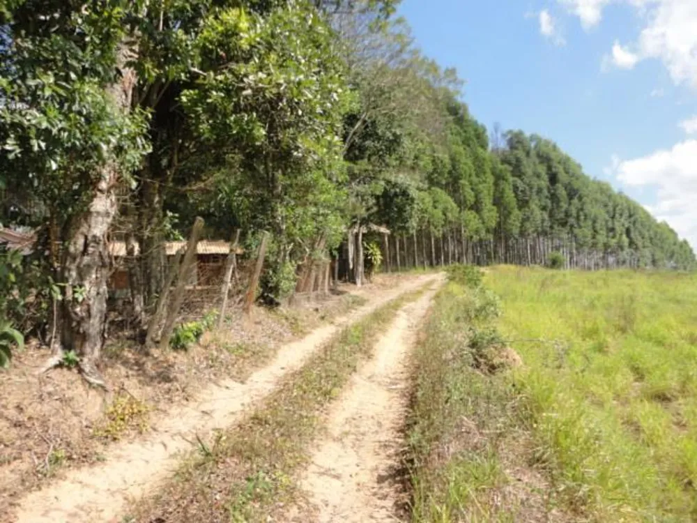 Terreno, 8 hectares - Foto 3