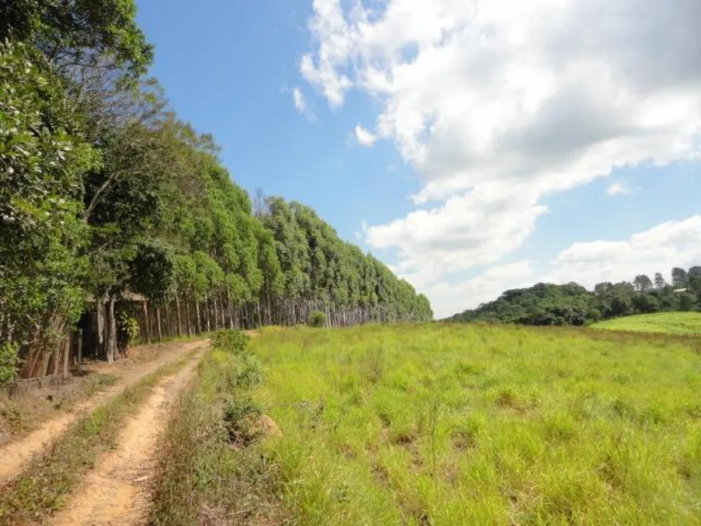 Terreno, 8 hectares - Foto 4