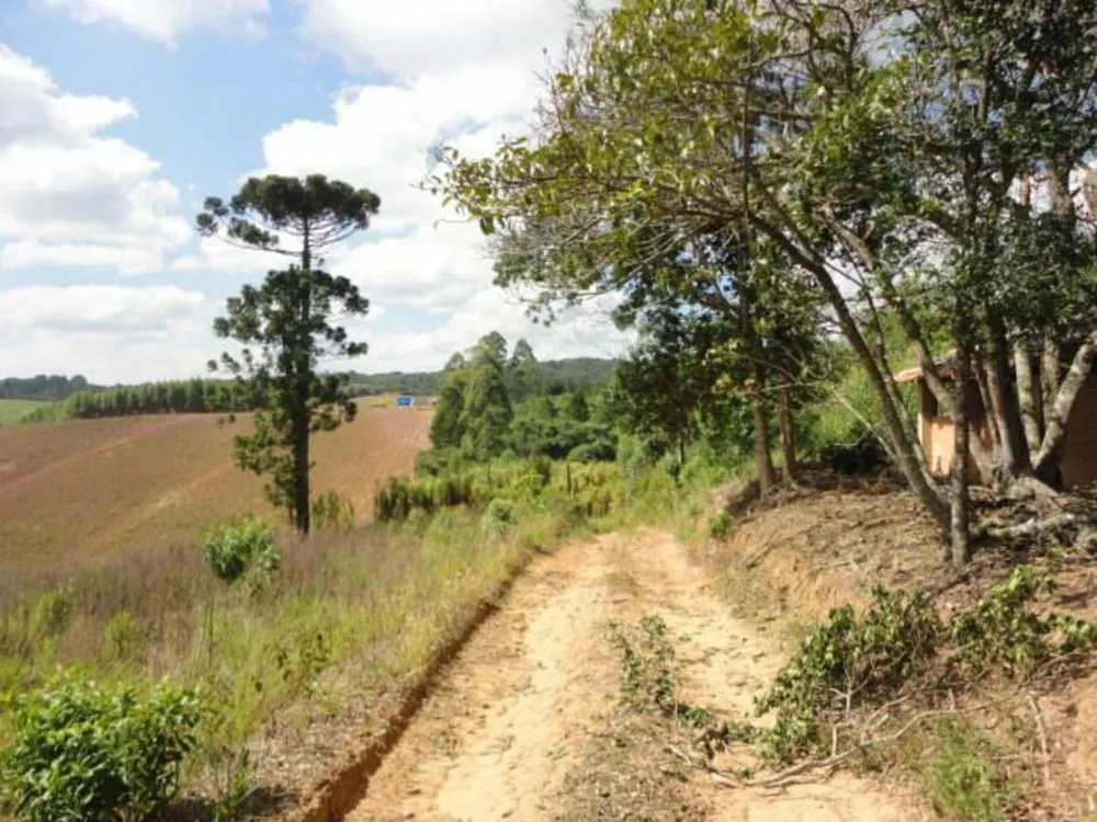 Terreno, 8 hectares - Foto 2