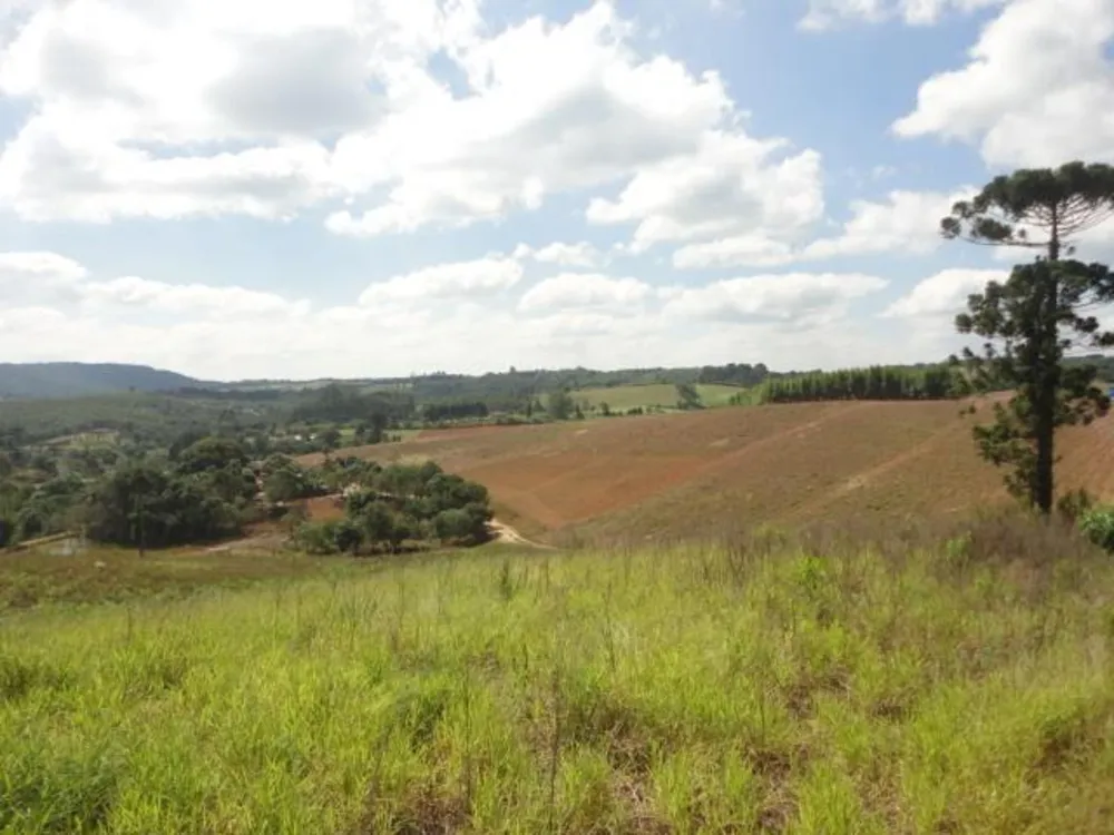 Terreno, 8 hectares - Foto 1