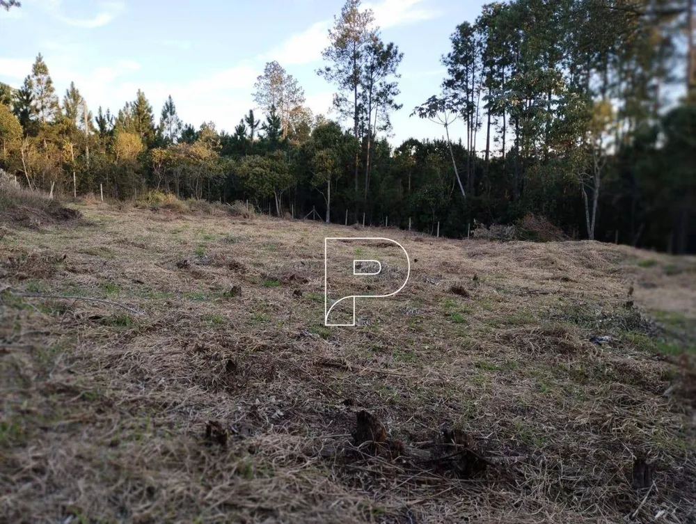 Terreno, 4296 m² - Foto 7