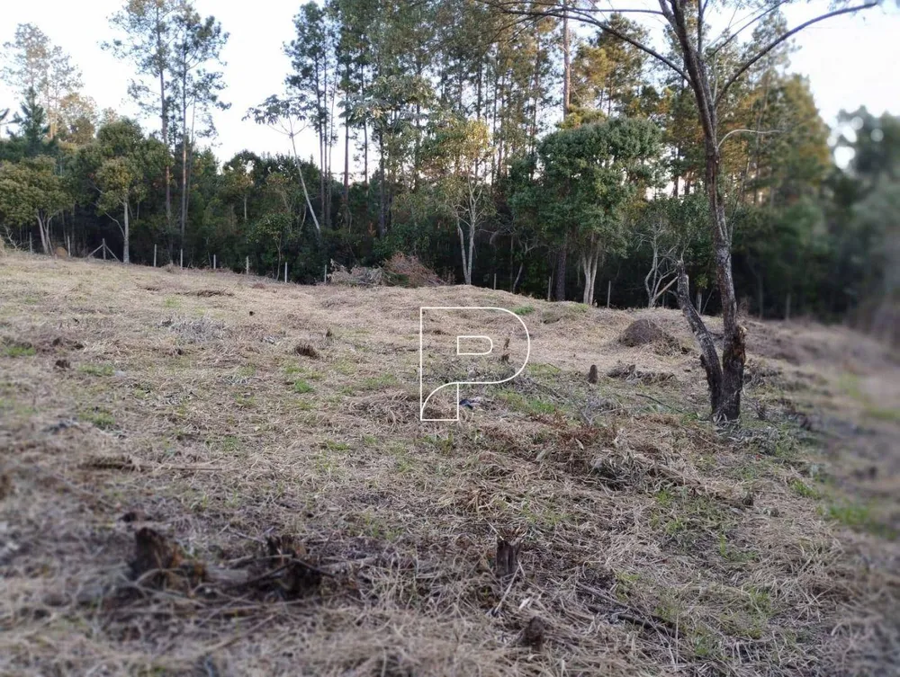 Terreno, 4296 m² - Foto 8