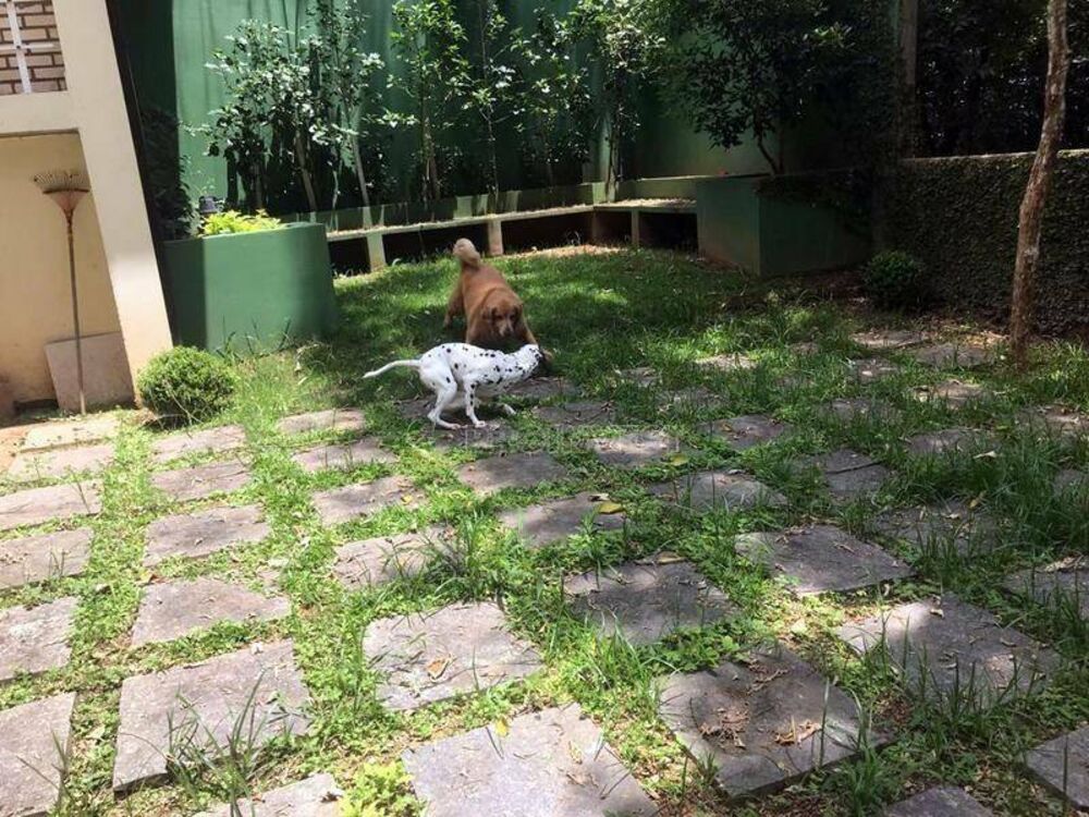 Casa de Condomínio, 5 quartos - Foto 3