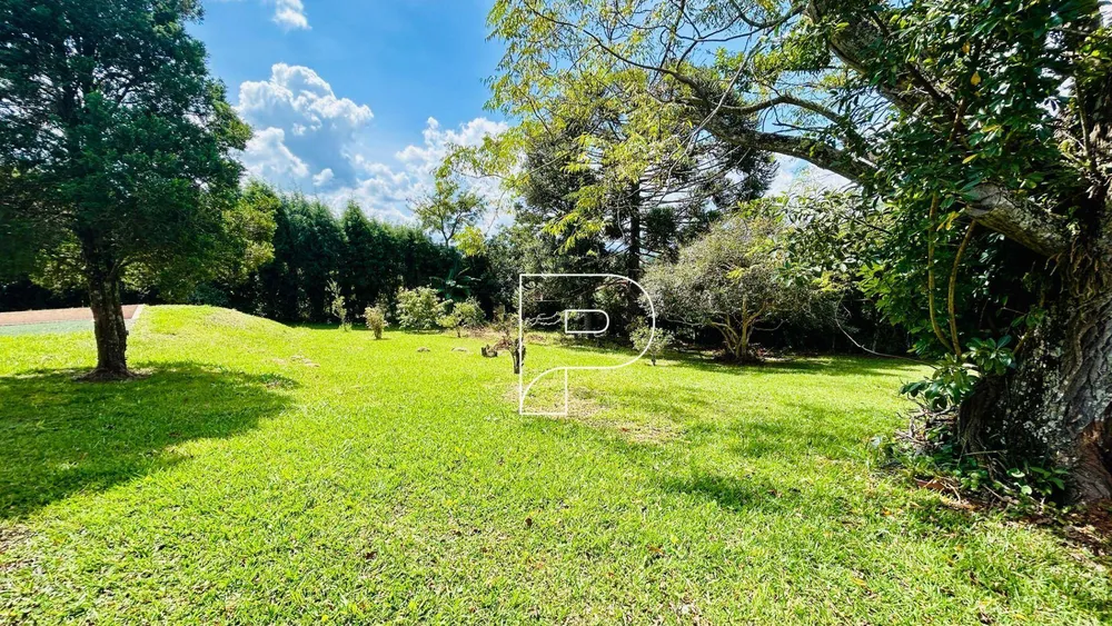 Chácara, 3 quartos, 4500 m² - Foto 5