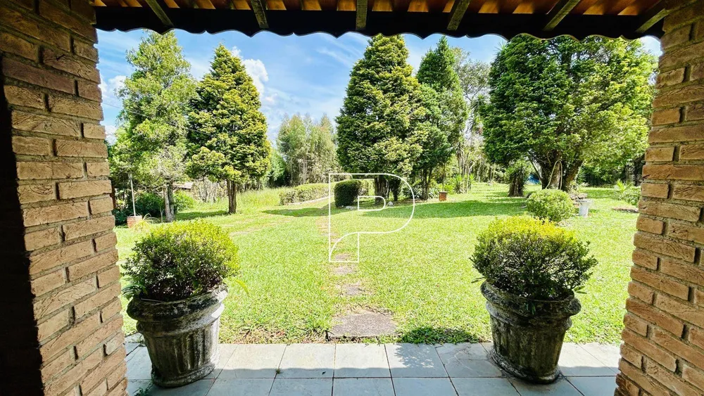 Chácara, 3 quartos, 4500 m² - Foto 3
