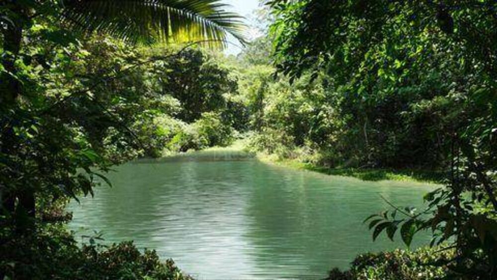 Loteamento e Condomínio, 564 m² - Foto 12