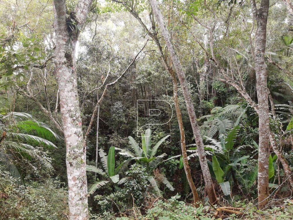 Chácara, 6 quartos, 1 hectares - Foto 27