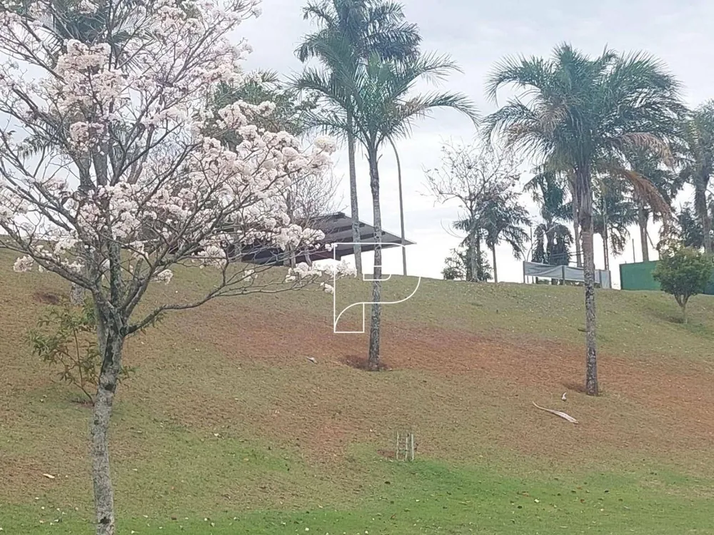 Loteamento e Condomínio, 526 m² - Foto 2