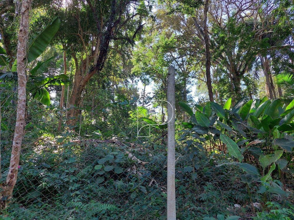 Terreno, 1078 m² - Foto 4