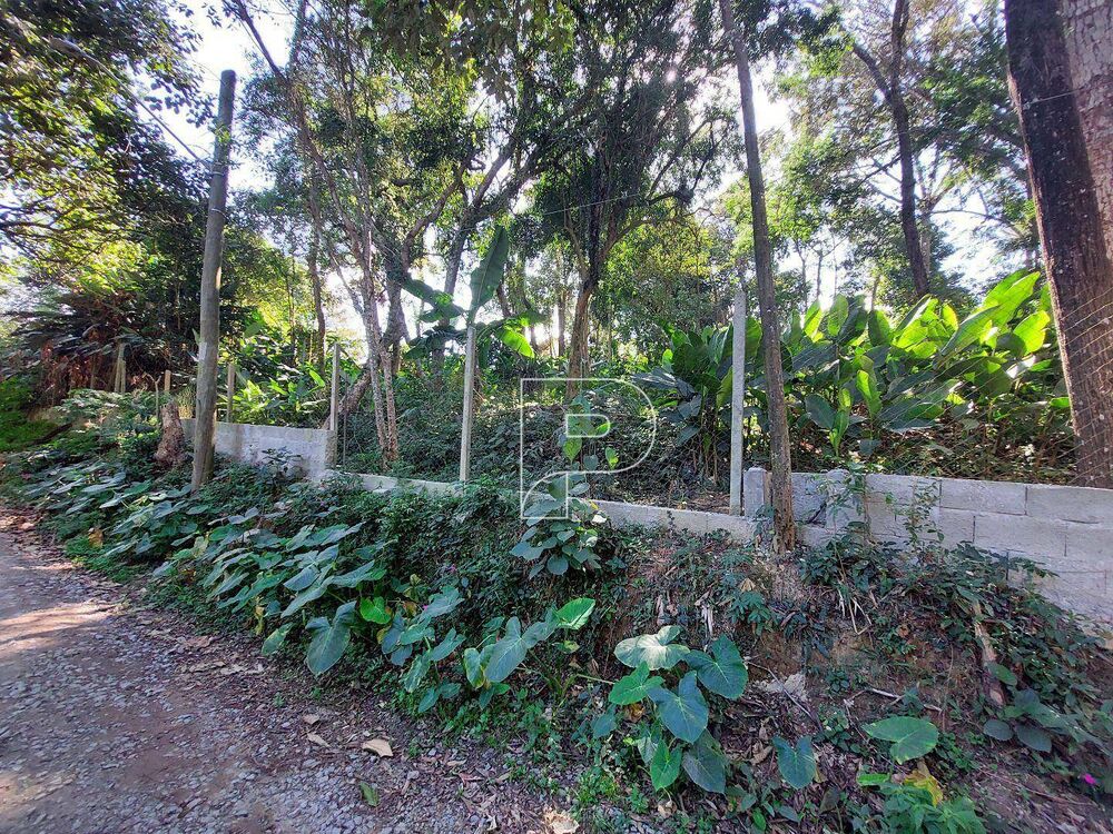 Terreno, 1078 m² - Foto 3