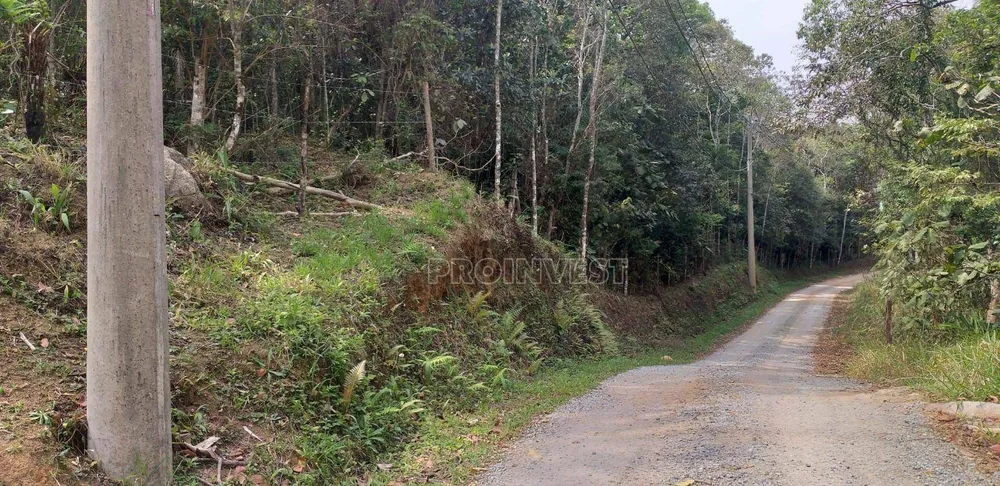 Terreno, 3 hectares - Foto 1