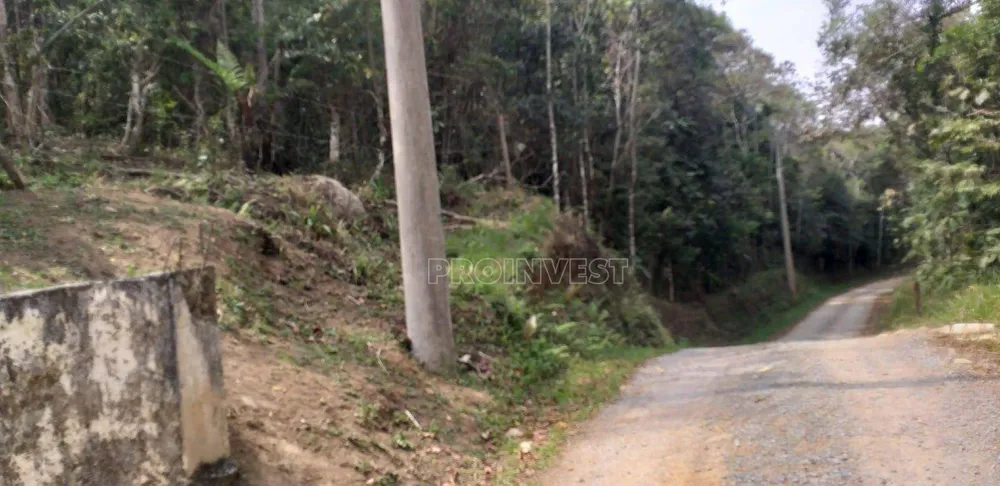 Terreno, 3 hectares - Foto 7