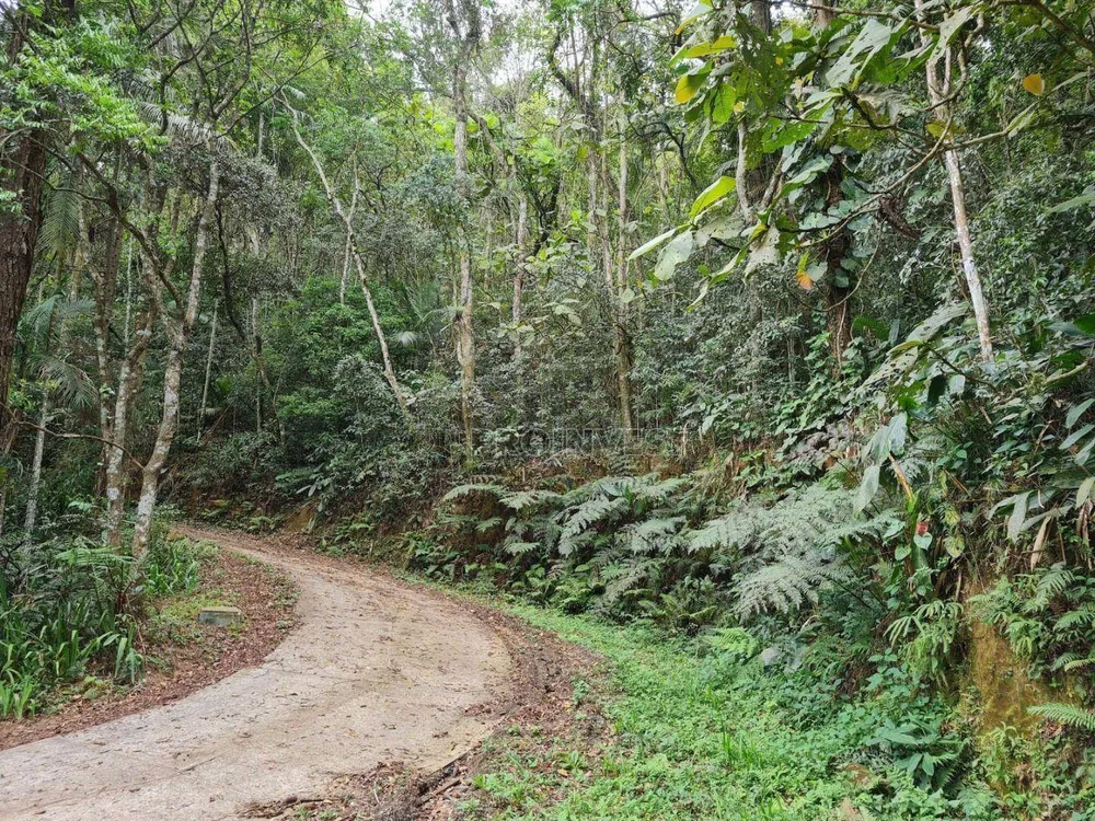 Terreno, 3 hectares - Foto 8