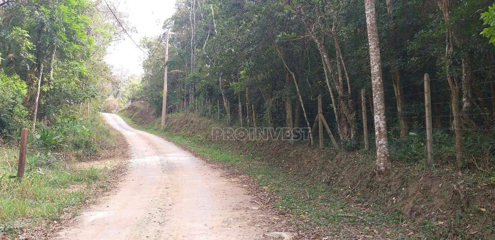 Terreno, 3 hectares - Foto 4