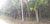 Terreno, 3 hectares - Foto 3