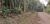 Terreno, 3 hectares - Foto 4