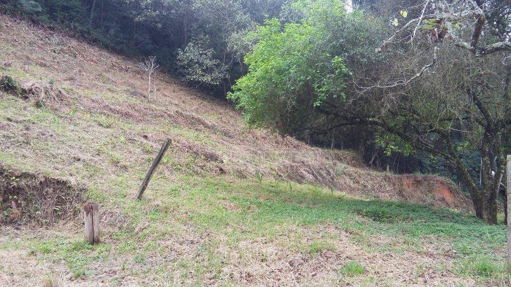 Terreno, 2 hectares - Foto 3