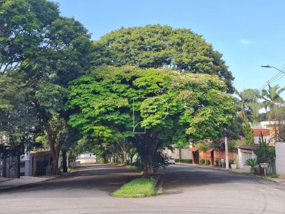 Casa, 4 quartos, 483 m² - Foto 11
