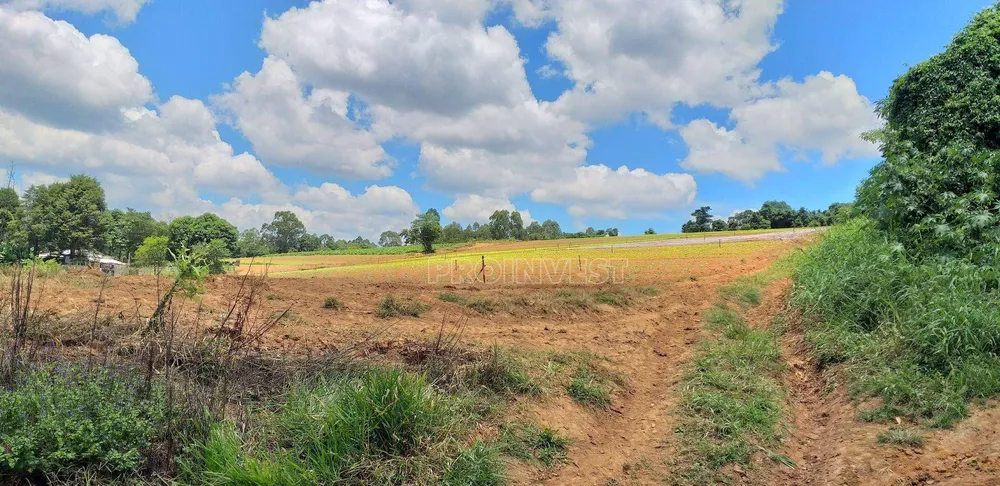 Terreno, 82 hectares - Foto 7