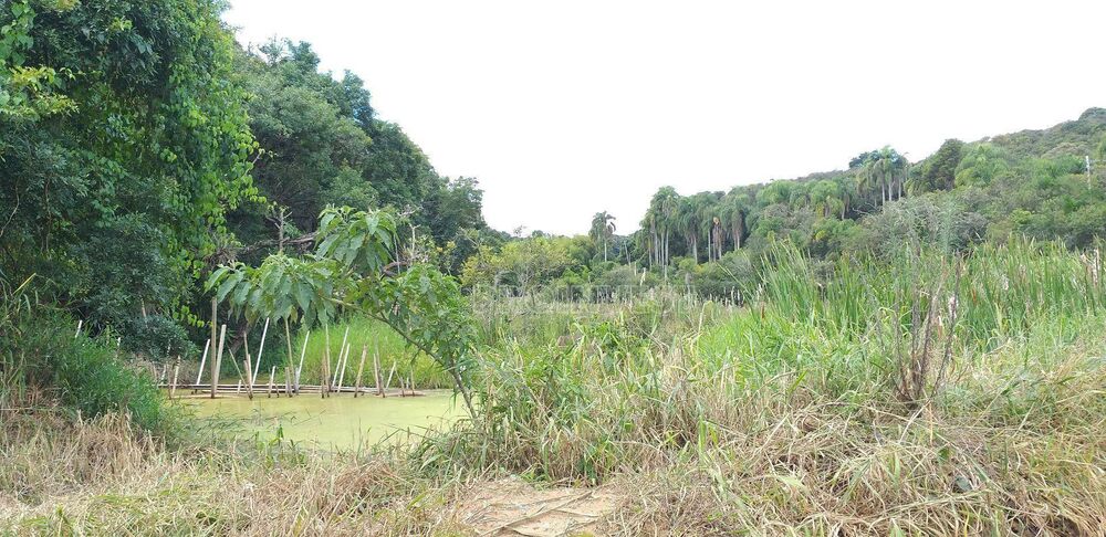 Terreno à venda, 822000M2 - Foto 4