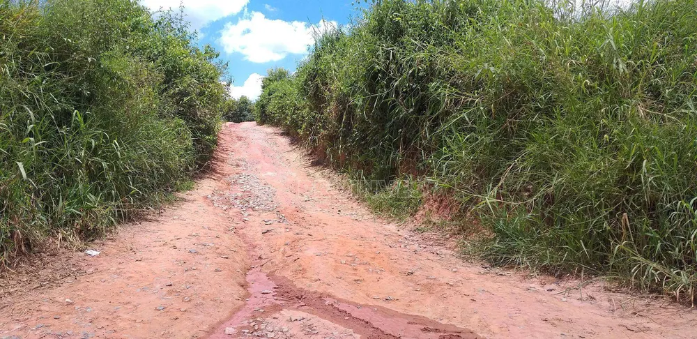 Terreno, 82 hectares - Foto 11