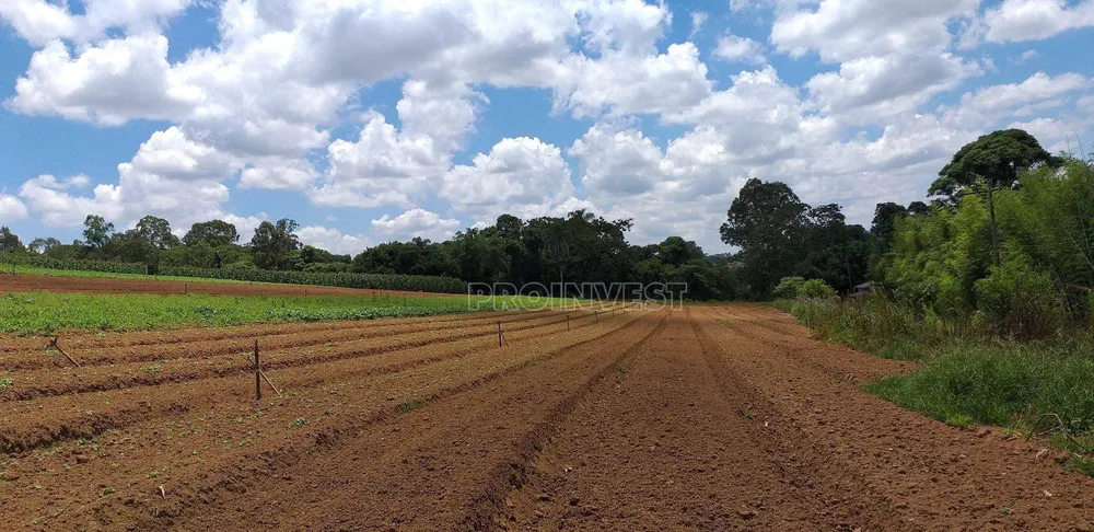 Terreno, 82 hectares - Foto 1