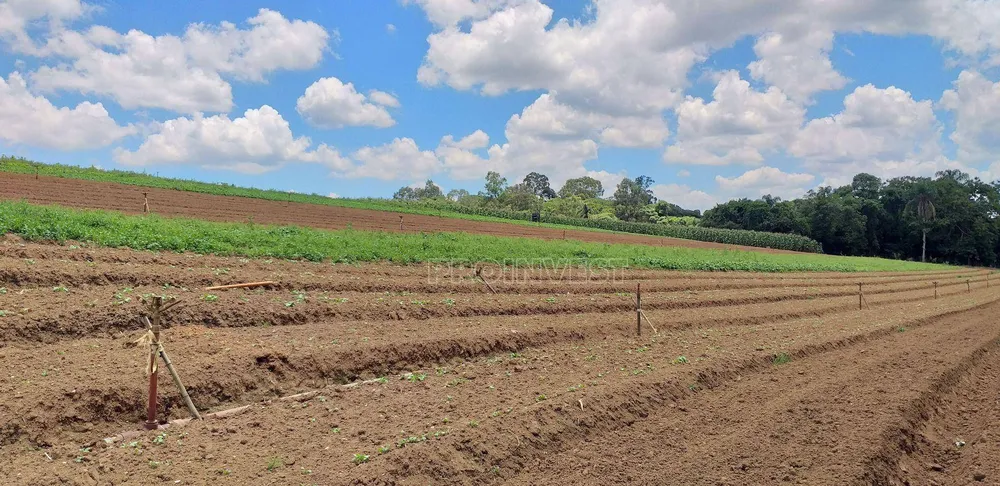 Terreno, 82 hectares - Foto 8
