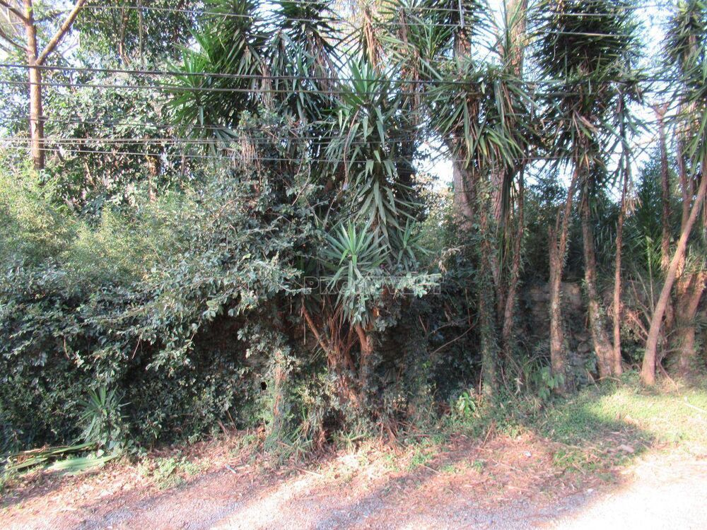 Loteamento e Condomínio, 2990 m² - Foto 6