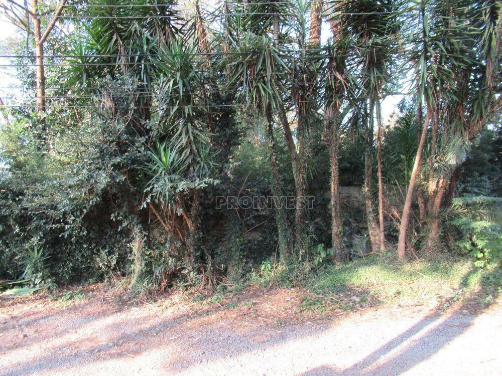 Loteamento e Condomínio, 2990 m² - Foto 2