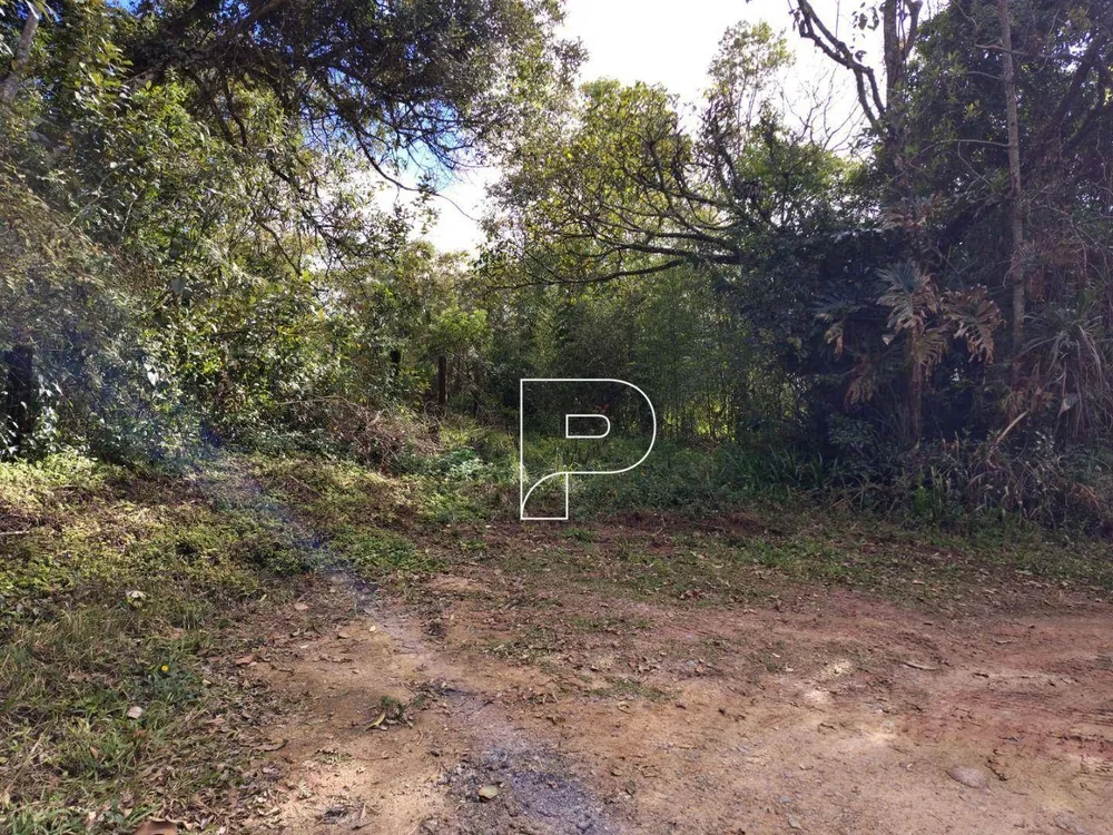 Terreno, 1286 m² - Foto 1